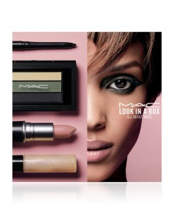 MAC Look in a Box All About Nude
