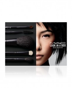 MAC Look in a Box Basic Brush Kit