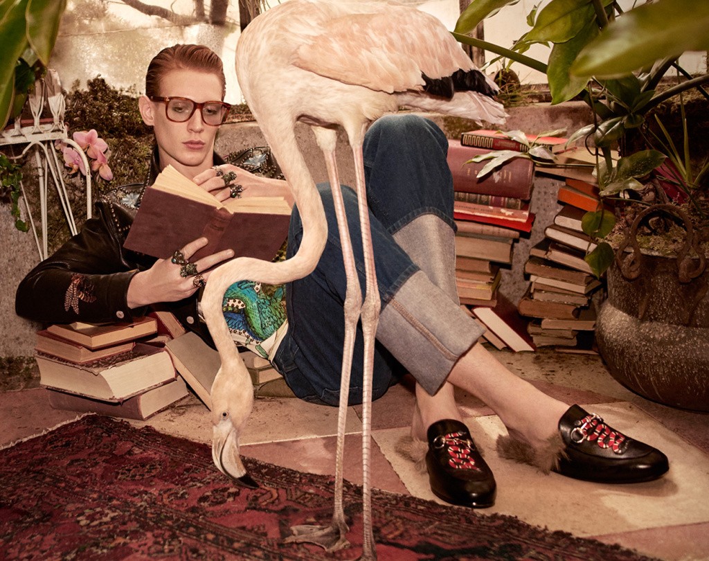 The Gucci Pre-Fall 2016 Advertising Campaign