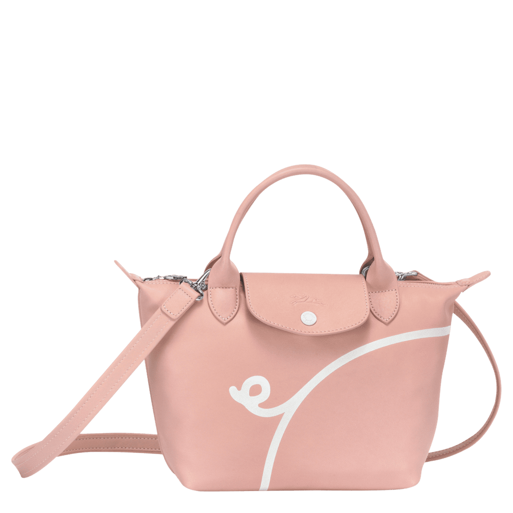 longchamp mr bag pig